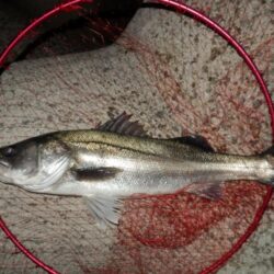 ちょっと聞いて！めちゃ嬉しい‼60・66‼‼　【20260326】